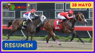 ✅RESUMEN 📽 martes 28 MAYO 2024 carreras caballos🏇 en el V Centenario💰 [upl. by Annaoi486]