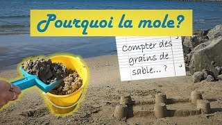 Pourquoi la mole  Lycée  TP PhysiqueChimie [upl. by Ragnar]