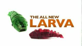 HEXBUG Larva [upl. by Thun]