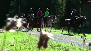 Alpenüberquerung mit dem Pferd  Beitrag Servus am Morgen vom 28 Oktober 2013 [upl. by Diraf]