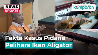 Dibui Sebab Pelihara Ikan Aligator Kok Bisa [upl. by Dhu]