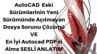 AUTOCAD AÇILMAYAN DOSYA SORUNUNU ÇÖZMEen iyi pdf ama 2017 sesli anlatım [upl. by Ruthi268]