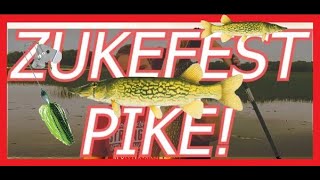 Mississippi River fishingcamping Wabasha Minnesota Zukefest [upl. by Adnofal]