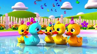 5 Little Ducks song  Newborn Baby Songs amp Nursery Rhymes CoComelon cocomelon chuchutv [upl. by Christi]