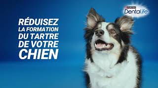 DENTALIFE® CHIEN Hygiène BuccoDentaire pendant 28jours [upl. by Aicul]