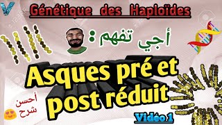 vidéo 1 génétique des haploides en arabe svi s4 [upl. by Arrais]