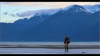 Seward Alaska Salmon Halibut amp Rockfish Harvesting  Snagging amp Millers Landing Charter 2024 [upl. by Tartaglia775]