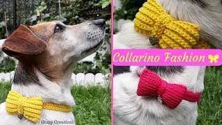 collare ad uncinetto per cagnoline super Fashion fioccoGiupy Creazioni [upl. by Lorinda]