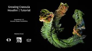 Growing Crassula Pyramidalis Tutorial  Sidefx Houdini  GrowInfinite [upl. by Eilzel155]