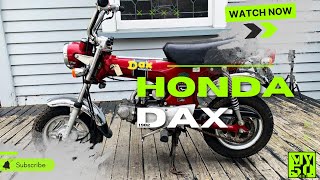 Honda Dax ST50 For Sale [upl. by Einaoj]