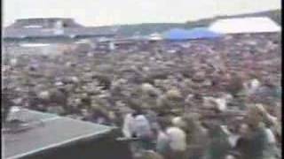 FUZZTONES  Pukkelpop 1987 quotCinderellaquot [upl. by Aehsan]