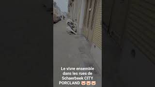 Schaerbeek CITY VIVRE ENSEMBLE merci au voisins 👍🤮🤮🤮🤮 [upl. by Rahab208]