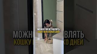 Можно ли оставлять кошку одну дома на несколько дней кошки уходзакошками [upl. by Nosirb]