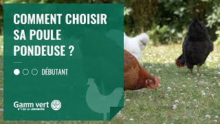 TUTO Comment choisir sa poule pondeuse   Jardinerie Gamm vert [upl. by Hentrich]