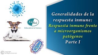 🆘🆕 Generalidades de la respuesta inmune frente a microorganismos patógenos 🦠  Parte 1️⃣ [upl. by Nosrettap]