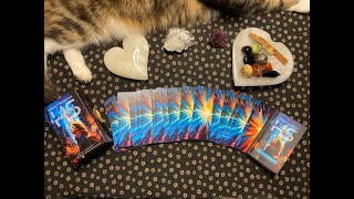 Highly Sensitive Tarot Flip ThroughFirst Impressions [upl. by Zerat]