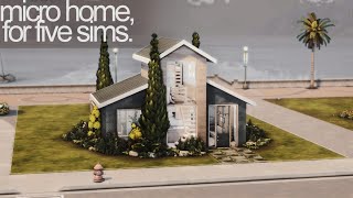 i did a MICRO home for FIVE sims [upl. by Aneleiram]