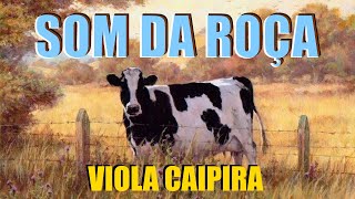 O Som Da Roça  De 01 HORA DE MODÃO DE VIOLA  Viola CaipiraSertanejo Raiz [upl. by Paine]