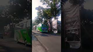 Sederhana Mulya quotSomplequot Membasuri busmania bislover [upl. by Laniger]