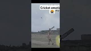 cricket cricketequipment brandes brand tapeball cricket emotions 😭 [upl. by Ullyot562]