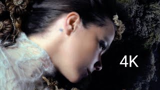 björk  where is the line final remaster AI UHD 4K surrounded [upl. by Shelden]