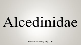 How To Say Alcedinidae [upl. by Wheelwright]