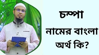 চম্পা নামের অর্থ কি  Chompa namer ortho ki  Champa name meaning in Bangla [upl. by Ahsiet]