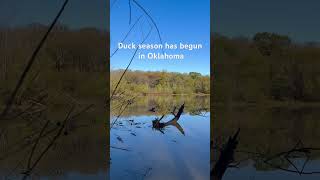 Duck season has begun in Oklahoma [upl. by Whallon]