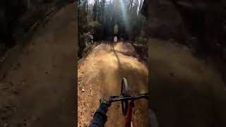 downhill mtb jump trail  Rockhopper Elite Hardtail [upl. by Ellehcan]