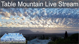 Table Mountain Live Stream  Cape Town  South Africa [upl. by Bilow]