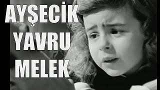 Ayşecik Yavru Melek  Eski Türk Filmi Tek Parça [upl. by Aizat]