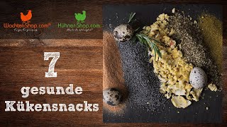 7 WachtelKükenSnacks die alle Herzen höher schlagen lassen  Tipps zur WachtelkükenFütterung [upl. by Nilat977]