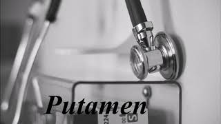 Learn how to pronounce Putamen [upl. by Knobloch]