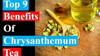 Top 9 Benefits Of Chrysanthemum Tea  Health Benefits [upl. by Rebhun]