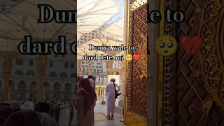 In sha Allah ❤️ love mostviewd viralvideo shortsviral jannatulbaqi trending duet live [upl. by Reh]