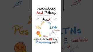 Arachidonic Acid Pharmacology Prostaglandins and Leukotrienes…biology nclex mbbs pharmacology [upl. by Aicul39]