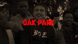 BOE Sosa x Mozzy x ShooterGang Type Beat 2017  Oak Park [upl. by Jarrad]