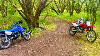 Chilled Day on Trial Bikes Yamaha rt100 and Honda crf100 18082024 [upl. by Aronson]