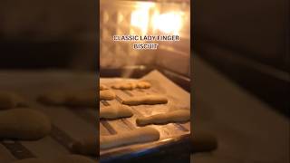 Light amp Airy EggFree Savoiardi  Easy 4Ingredient Ingredients Ladyfinger Biscuits No Egg No Milk [upl. by Melli]