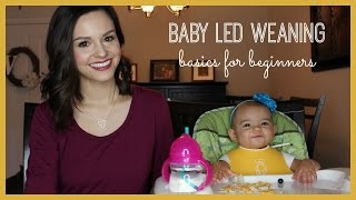 Baby Led Weaning  Basics for Beginners [upl. by Lavery]