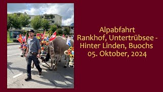 Alpabfahrt Rankhof Untertrübsee Hinter Linden Buochs 05 Okt 2024 [upl. by Pliner]