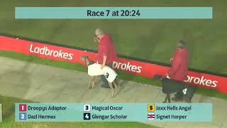 Crayford Greyhounds Races on 13th October 2024 [upl. by Idelle]