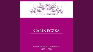 Calineczka  Wielka Kolekcja Bajek [upl. by Rich929]