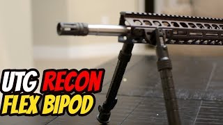 Budget 308 AR 10 UTG Recon Bipod [upl. by Eseuqram]