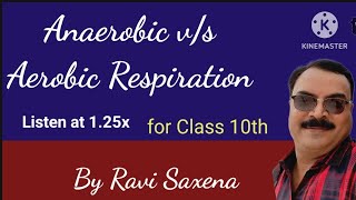 Anaerobic and Aerobic RespirationClass10thclass 11th Biology [upl. by Sualocin]