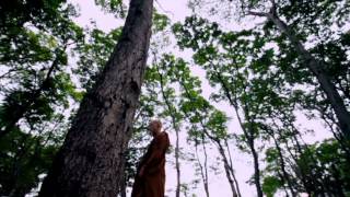 THE WAY  Trailer Official 2012 HD [upl. by Amery]