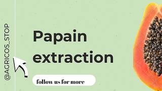 Papain extraction everything you need to know about papain extraction [upl. by Brenden]