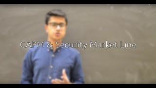 CAPM amp The Security Market Line [upl. by Mairhpe187]