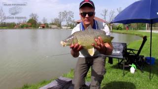 Trabucco Srbija  Method Feeder Fishing by Piper [upl. by Oates]