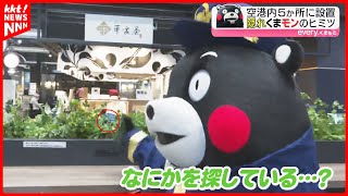 【探してみてね】『隠れくまモン』阿蘇くまもと空港の5か所に設置！くまモンランド化構想 [upl. by Zela]